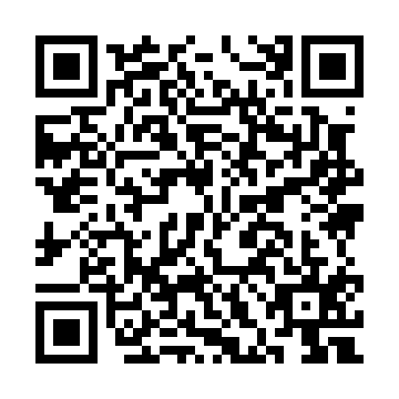 QR code for CHI-0155