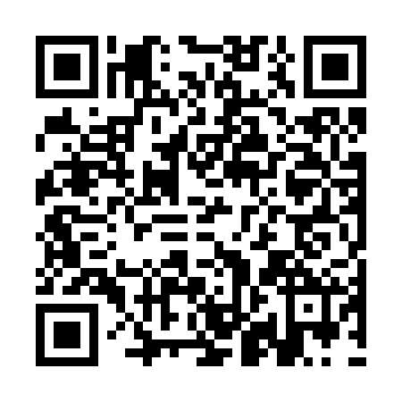 QR code for CHO-2228