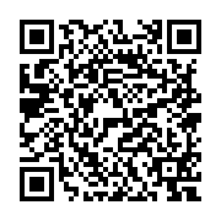 QR code for CHQ-9919