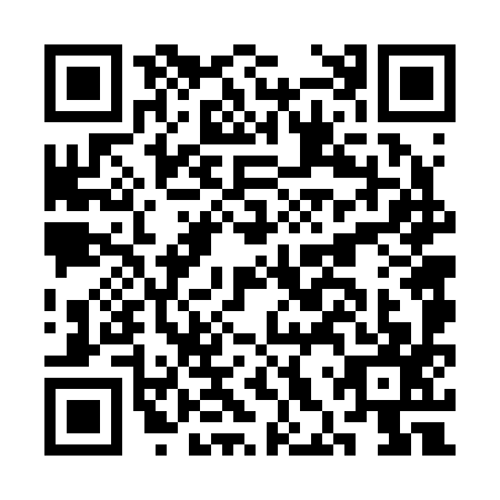 QR code for CHV2971