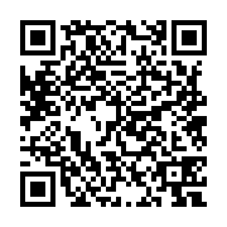 QR code for plate CIR-9383