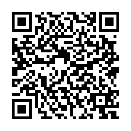 QR code for plate CIY-0217