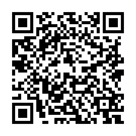 QR code for CJI9228