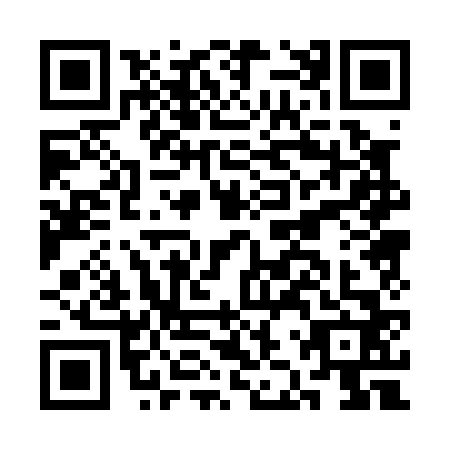 QR code for plate CJP-0629