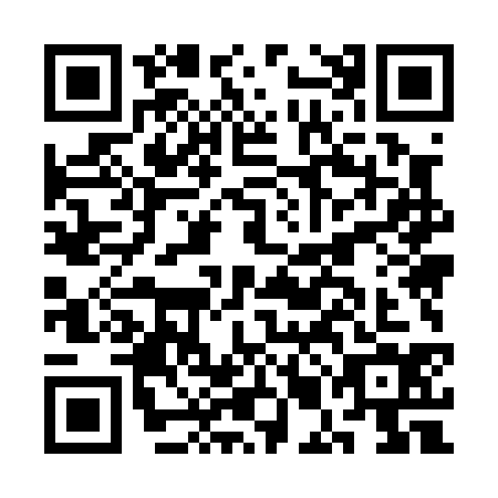 QR code for CMM-0341