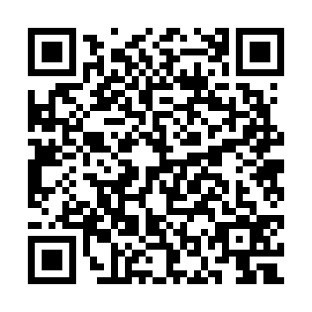QR code for COR-6369