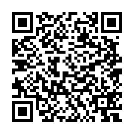 QR code for plate CTP-4199