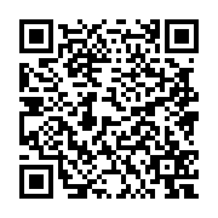 QR code for plate CTX-0378