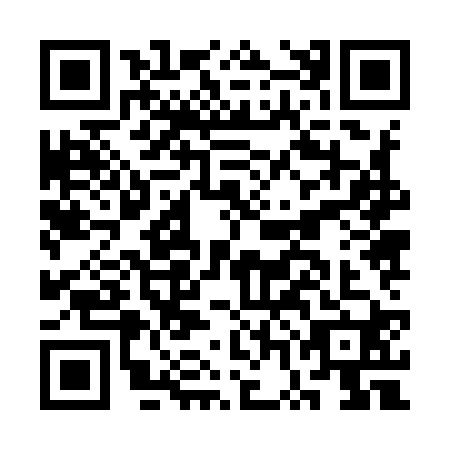 QR code for plate CWJ-9200