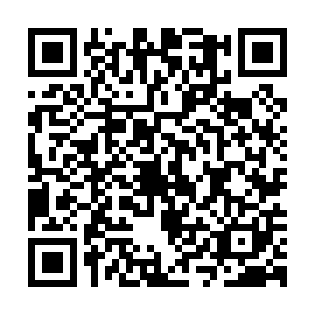 QR code for plate CYN-0017