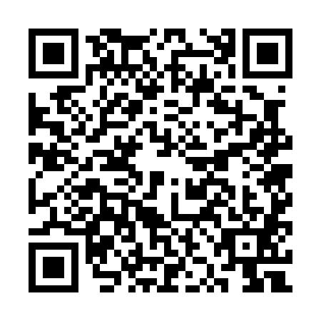 QR code for plate CZG-0810
