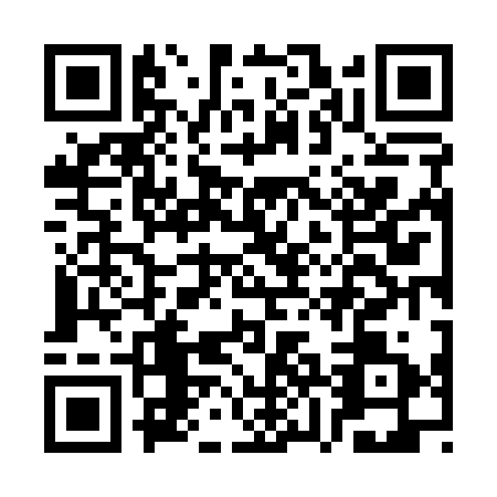 QR code for plate CZN-1310