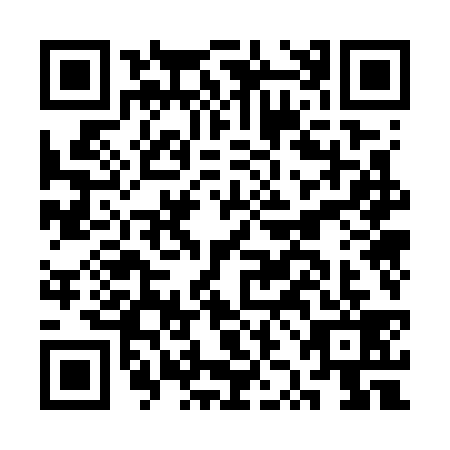 QR code for plate CZO-7391
