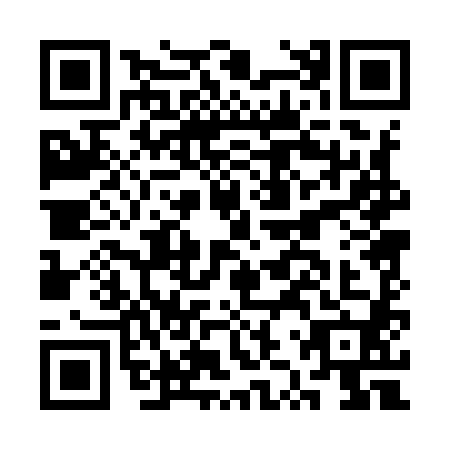 QR code for CZP-9804