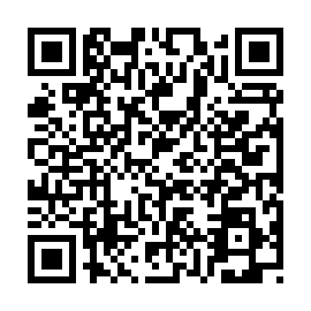 QR code for plate CZZ-8980