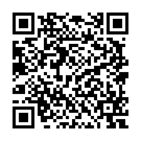 QR code for plate DDI-4976