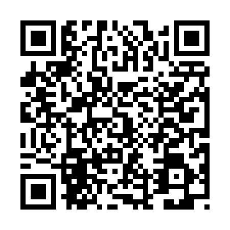 QR code for plate DDP-4868