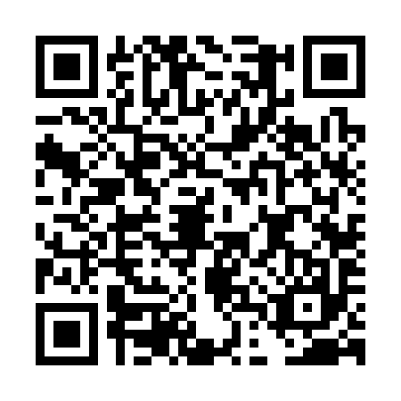 QR code for plate DDV-3978