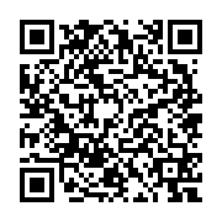 QR code for DDZ6603
