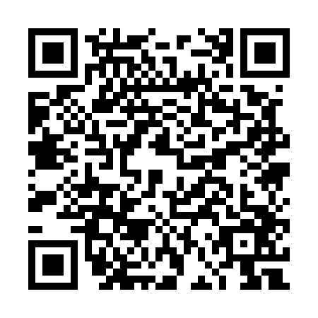 QR code for DFQ-5463