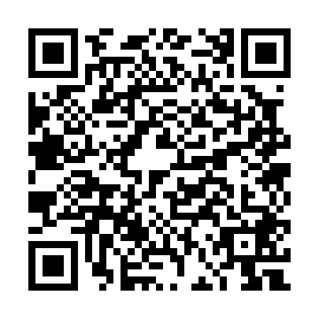 QR code for plate DFS-0486