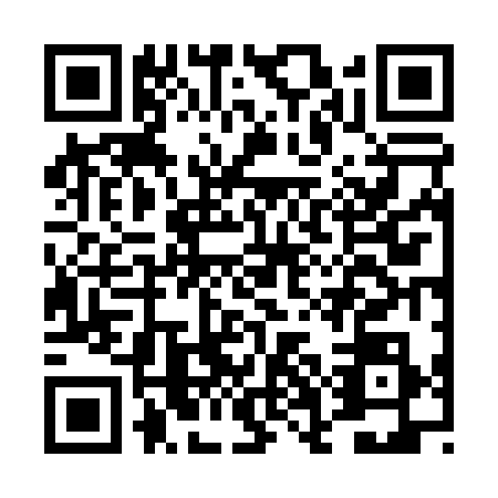 QR code for DGF-0384