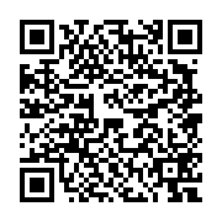 QR code for DGP-4593