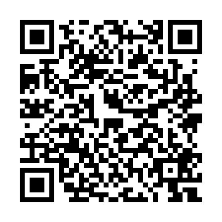 QR code for DGY-3095