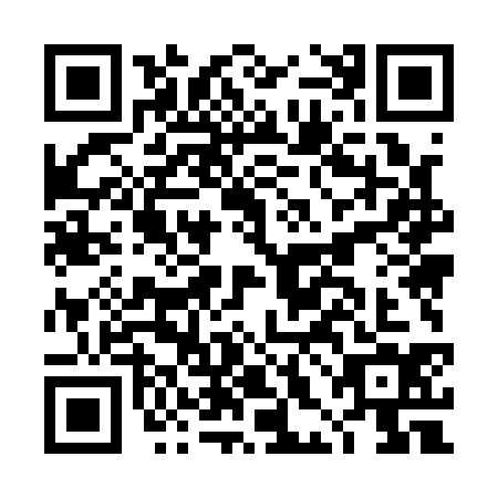 QR code for DHM-1343