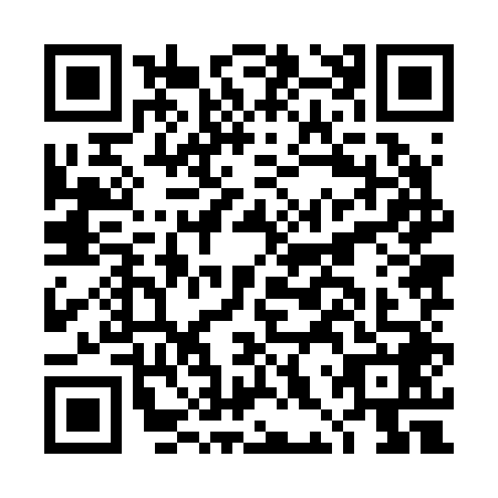 QR code for DHZ-2489