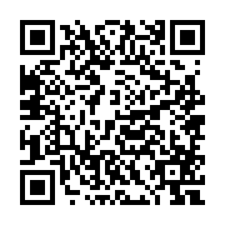 QR code for plate DHZ-3870