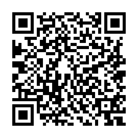 QR code for DIE9101