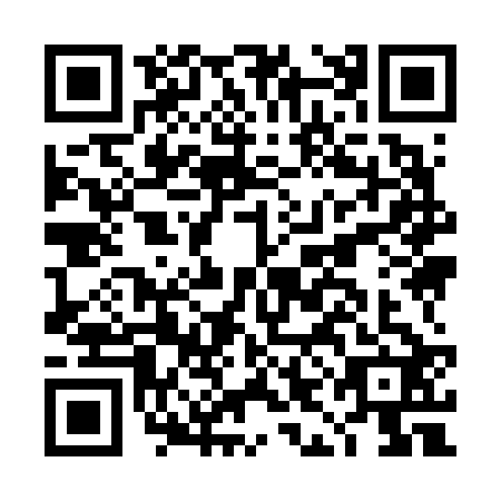 QR code for DII-6229