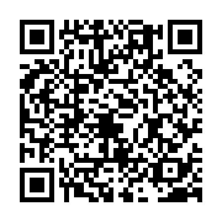QR code for DIO1382
