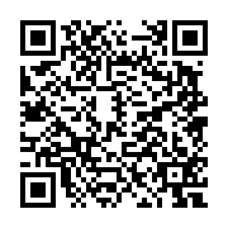 QR code for DIP4137