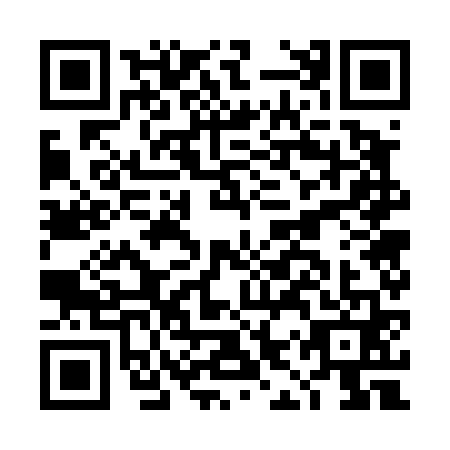 QR code for DIW-4619