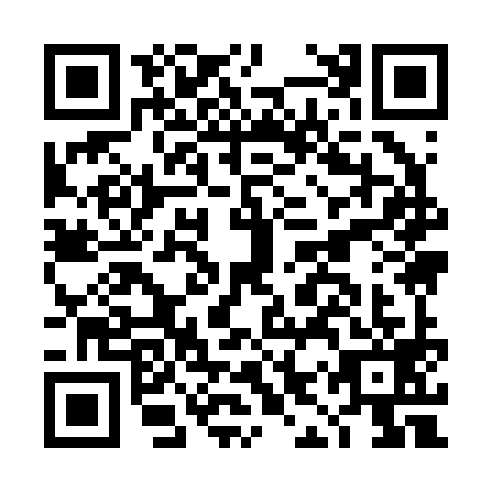 QR code for DIY2992