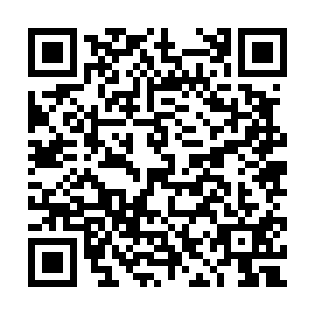 QR code for DIZ-4119