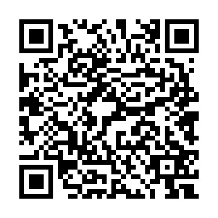 QR code for plate DJD-6234