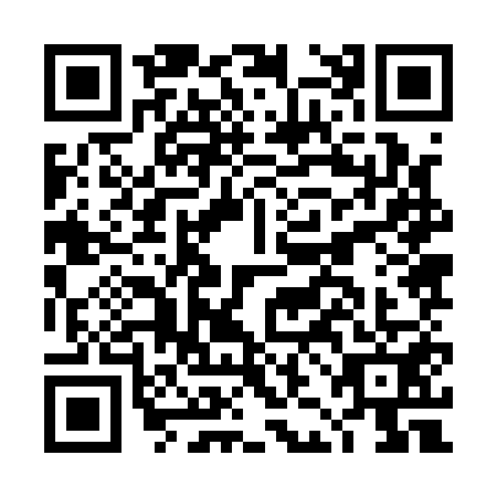QR code for plate DJJ-1517