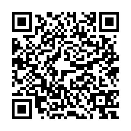 QR code for plate DJK-7347