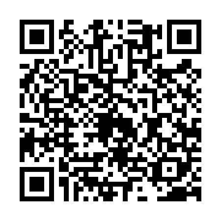 QR code for plate DLD-4481