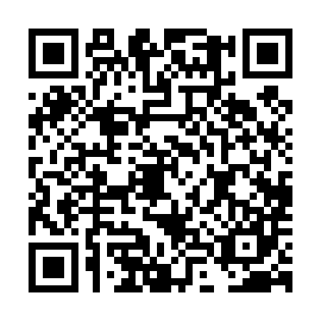 QR code for DLP4876