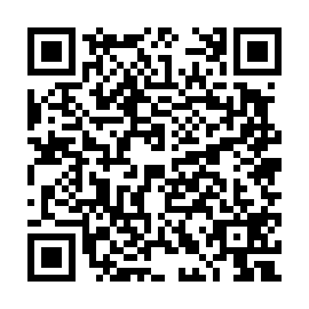 QR code for DLU4197