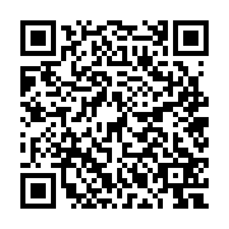 QR code for DMG3236