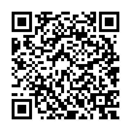 QR code for DMN-6316