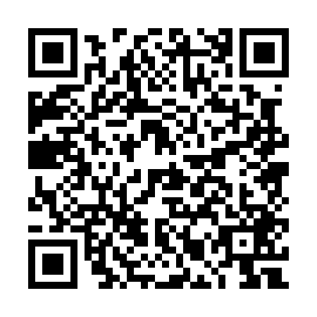 QR code for DMP-0491