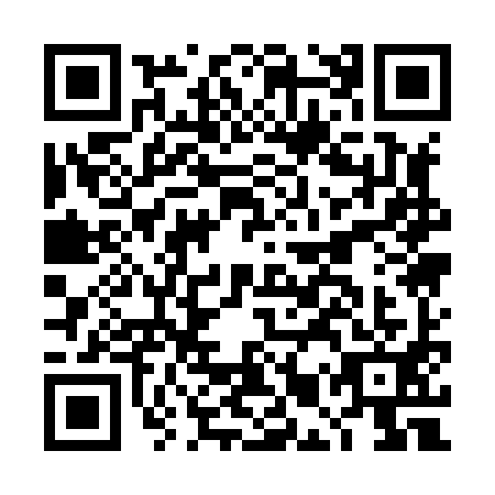 QR code for plate DMQ-8915