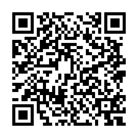 QR code for plate DNI-4119