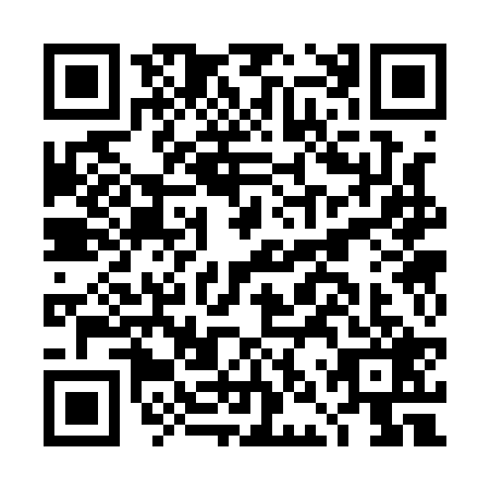 QR code for DNS1295